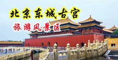 骚逼艹骚逼艹免费中国北京-东城古宫旅游风景区
